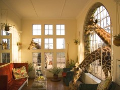 Giraffe Manor Nairobi